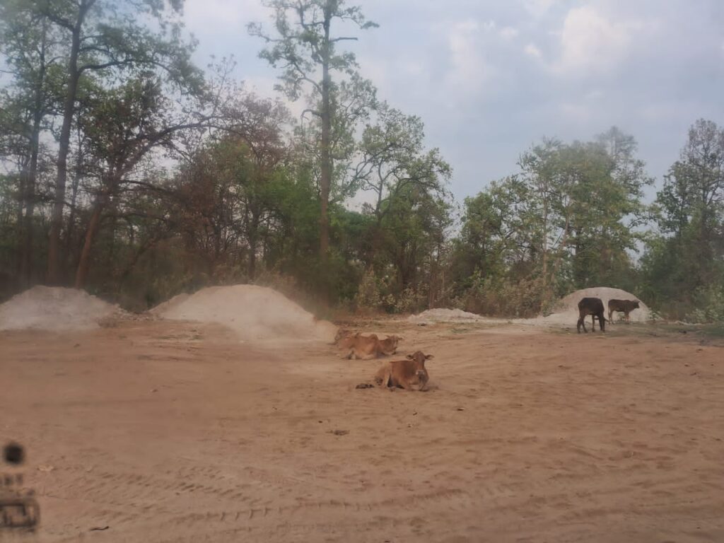 पत्रकारिता की आड़ में फ्लाई ऐश का खेल: आवंटित कृषि भूमि पर जहरीली राख, नियमों की उड़ रही धज्जियाँ!!
